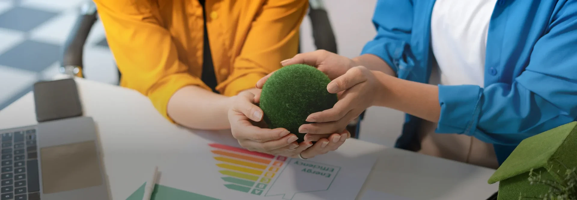 Sustainability Policy and Framework