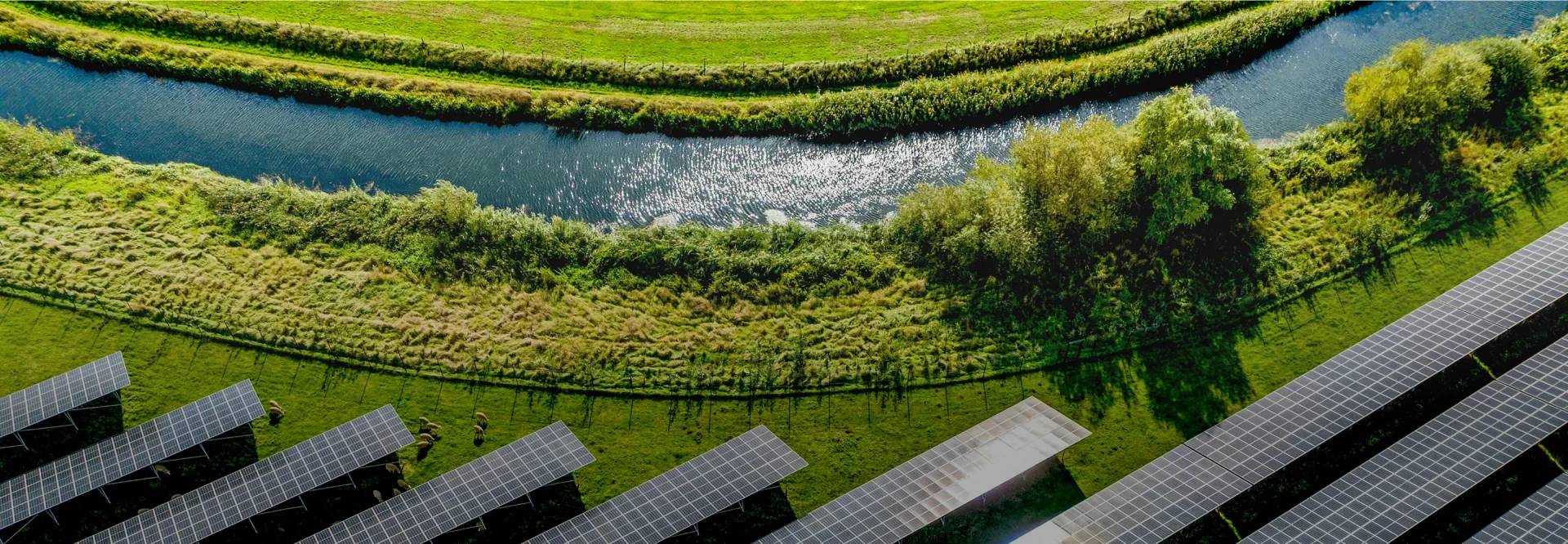 Sustainability Strategy