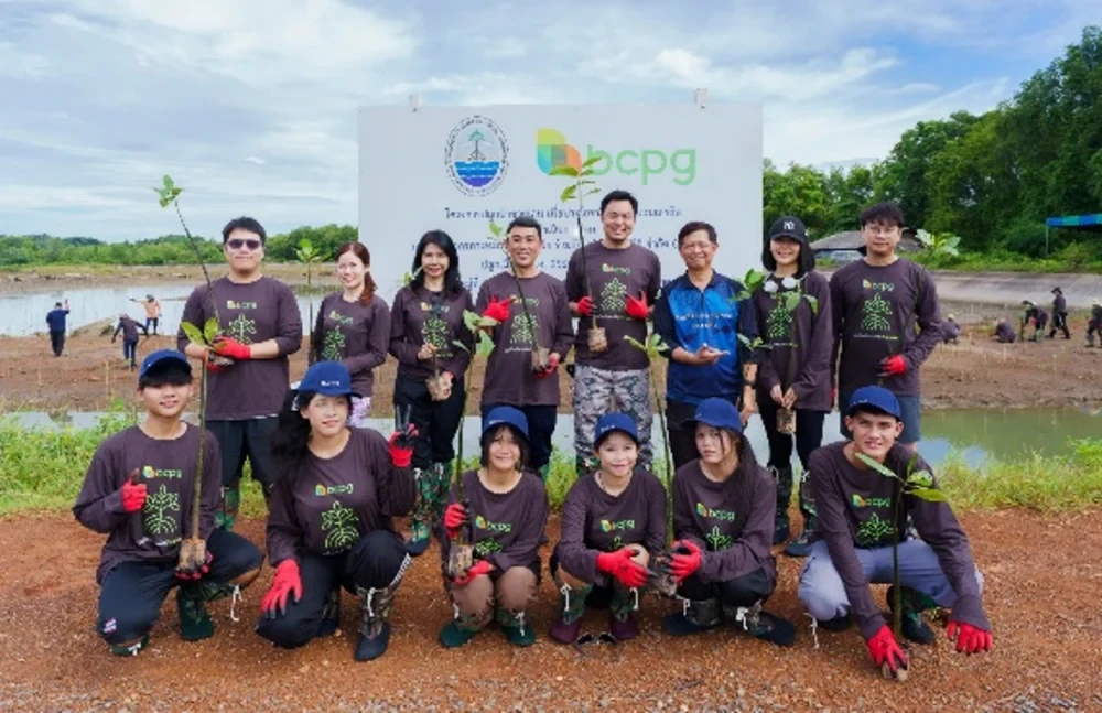 BCPG Mangrove Rehabilitation Project for a Sustainable World